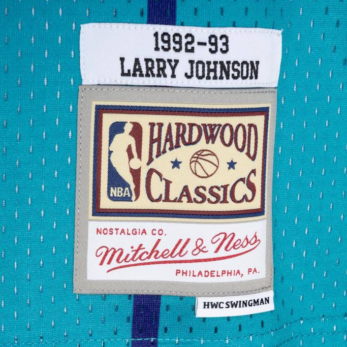 NBA 0F6D5746 charlotte hornets larry johnson teal/purple hardwood classics 199split swingman jersey
